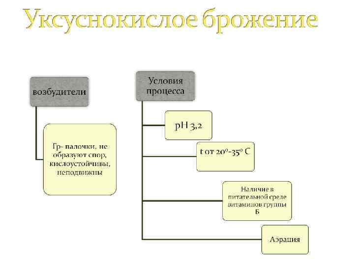 Это окисление этилового спирта до уксусной кислоты. 