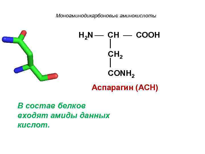  Моноаминодикарбоновые аминокислоты H 2 N CH COOH CH 2 CONH 2 Аспарагин (АСН)