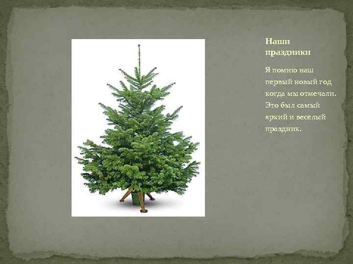 Наши праздники Я помню наш первый новый год когда мы отмечали. Это был самый