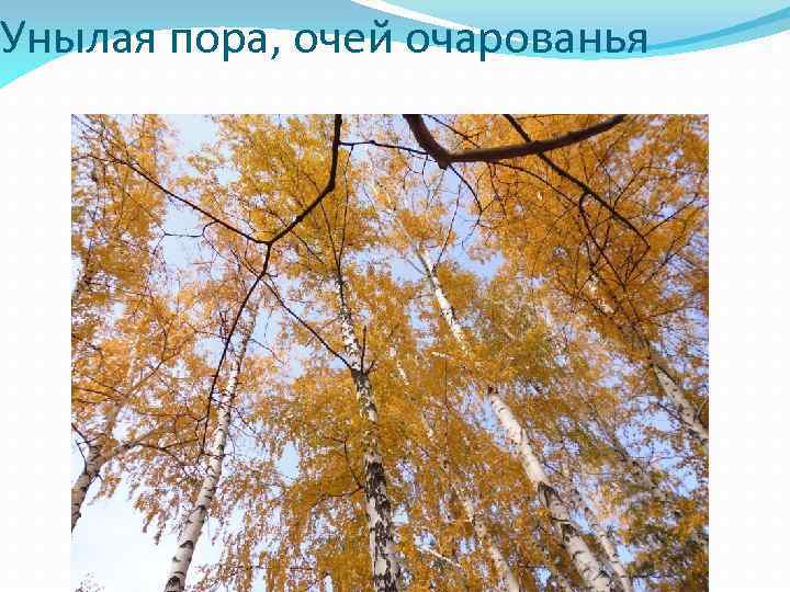 Унылая пора, очей очарованья 