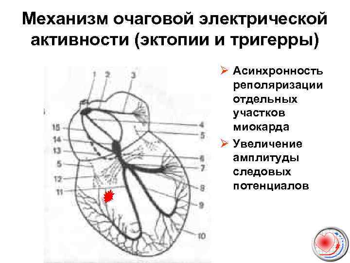 Карта смп аритмия