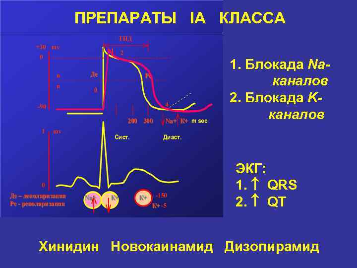 ПРЕПАРАТЫ IA КЛАССА 1. Блокада Naканалов 2. Блокада Kканалов ЭКГ: 1. QRS 2. QT