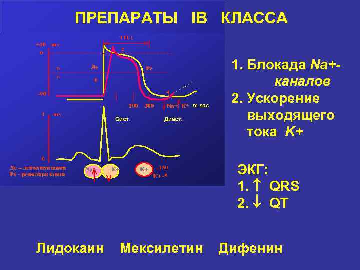 ПРЕПАРАТЫ IB КЛАССА 1. Блокада Na+каналов 2. Ускорение выходящего тока K+ ЭКГ: 1. QRS