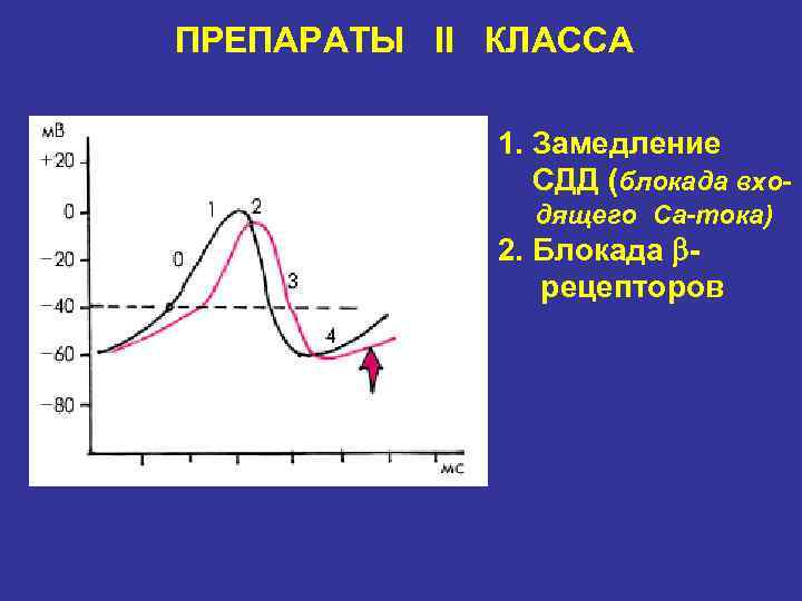 ПРЕПАРАТЫ II КЛАССА 1. Замедление СДД (блокада входящего Ca-тока) 2. Блокада - рецепторов 