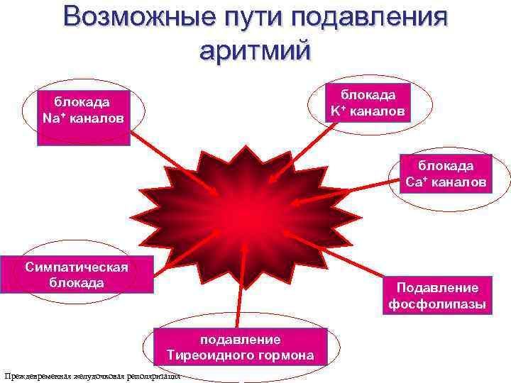Возможные пути подавления аритмий блокада K+ каналов блокада Na+ каналов блокада Ca+ каналов Симпатическая