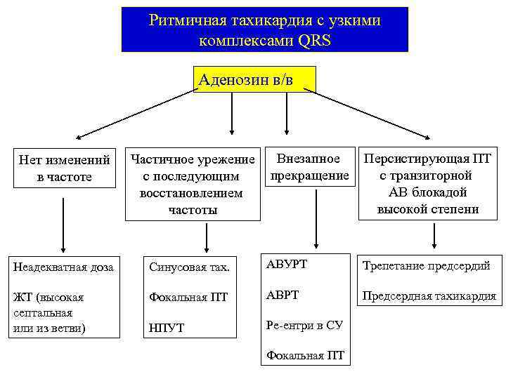 Ритмичная тахикардия с узкими комплексами QRS Аденозин в/в Внезапное прекращение Персистирующая ПТ с транзиторной