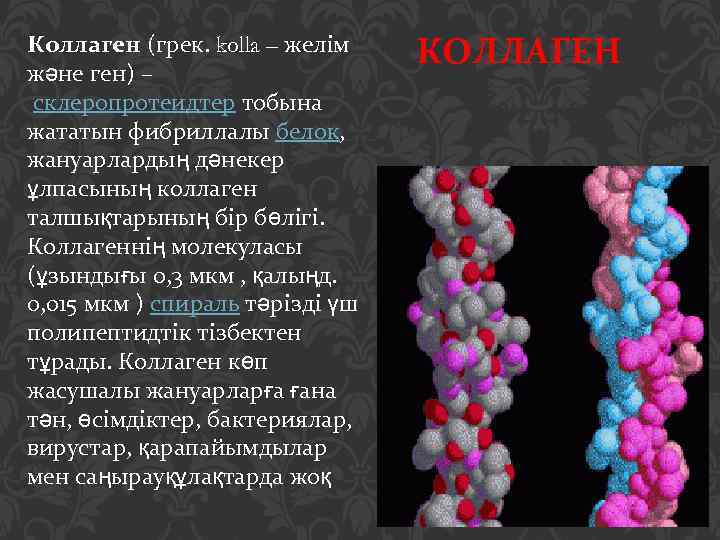 Коллаген (грек. kolla – желім және ген) – склеропротеидтер тобына жататын фибриллалы белок, жануарлардың