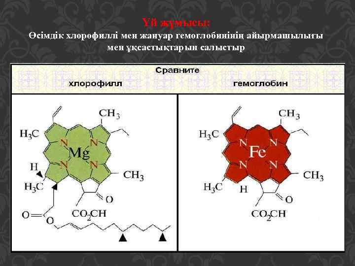 Үй жұмысы: Өсімдік хлорофиллі мен жануар гемоглобинінің айырмашылығы мен ұқсастықтарын салыстыр 