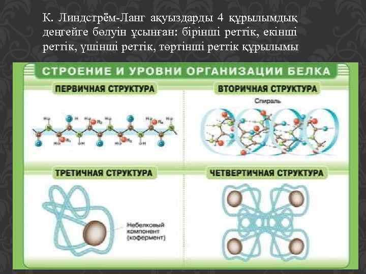 К. Линдстрём-Ланг ақуыздарды 4 құрылымдық деңгейге бөлуін ұсынған: бірінші реттік, екінші реттік, үшінші реттік,