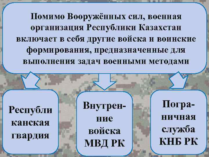 Помимо Вооружённых сил, военная организация Республики Казахстан включает в себя другие войска и воинские