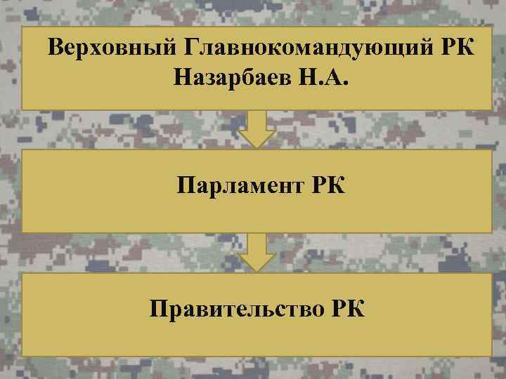 Верховный Главнокомандующий РК Назарбаев Н. А. Парламент РК Правительство РК 