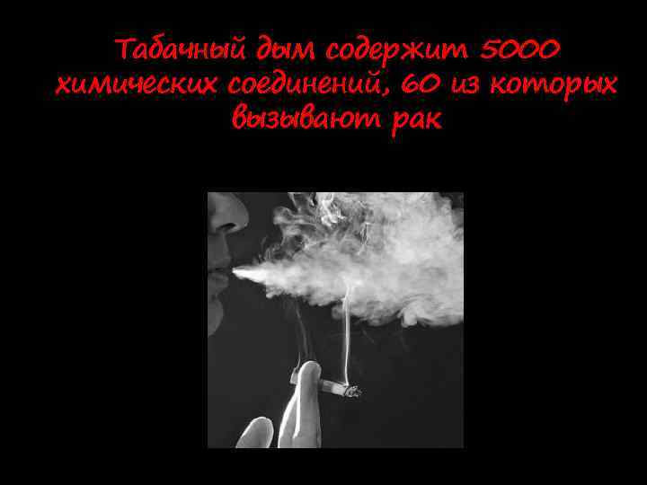 Табачный дым содержит 5000 химических соединений, 60 из которых вызывают рак 