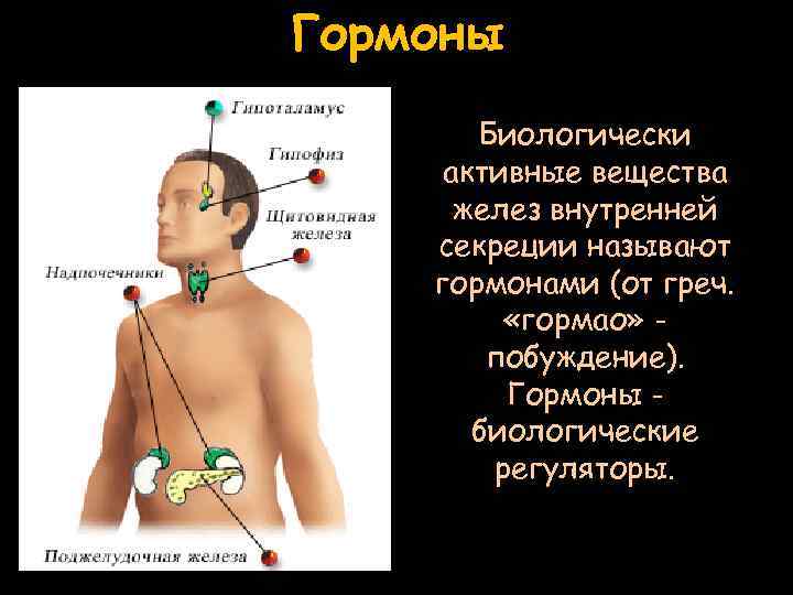 Гормоны Биологически активные вещества желез внутренней секреции называют гормонами (от греч. «гормао» побуждение). Гормоны