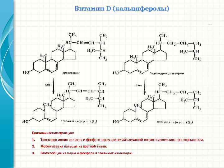 Формула d 3. Синтез витамина д биохимия. Схема образования витамина д3. Синтез витамина d3 биохимия. Образование активной формы витамина д.