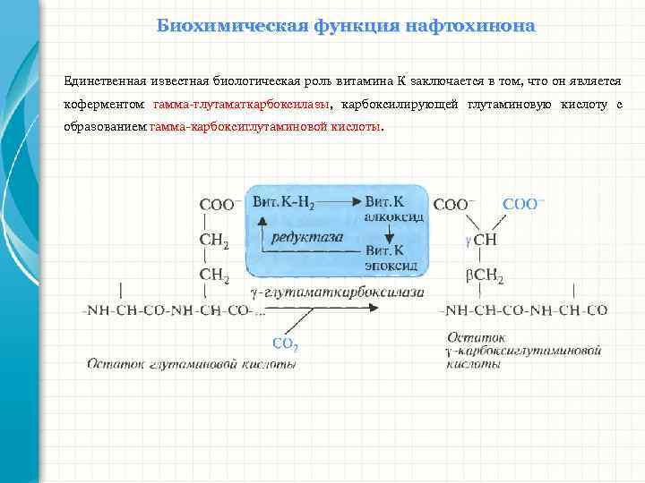 Биохимические функции. Нафтохиноны в биохимии. Биохимические функции витамина а. Биохимическая функция. Биохимическая роль витамина с.