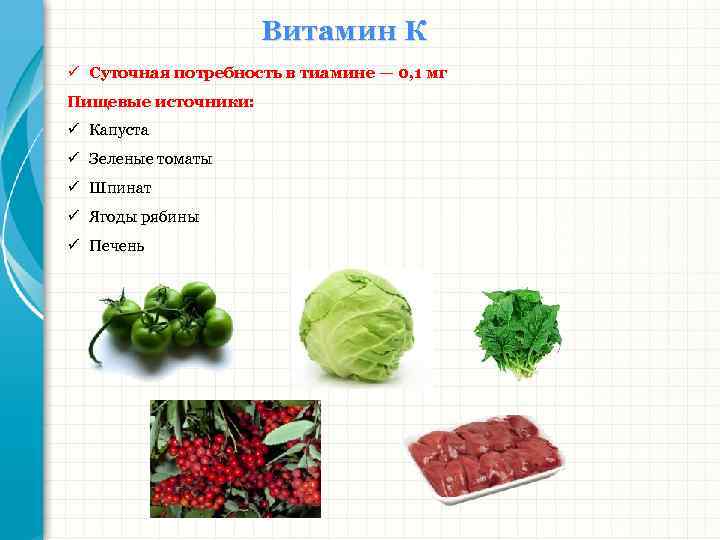 Витамин К ü Суточная потребность в тиамине — 0, 1 мг Пищевые источники: ü