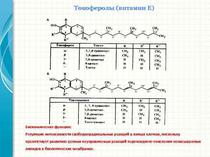 Витамин е биохимия презентация