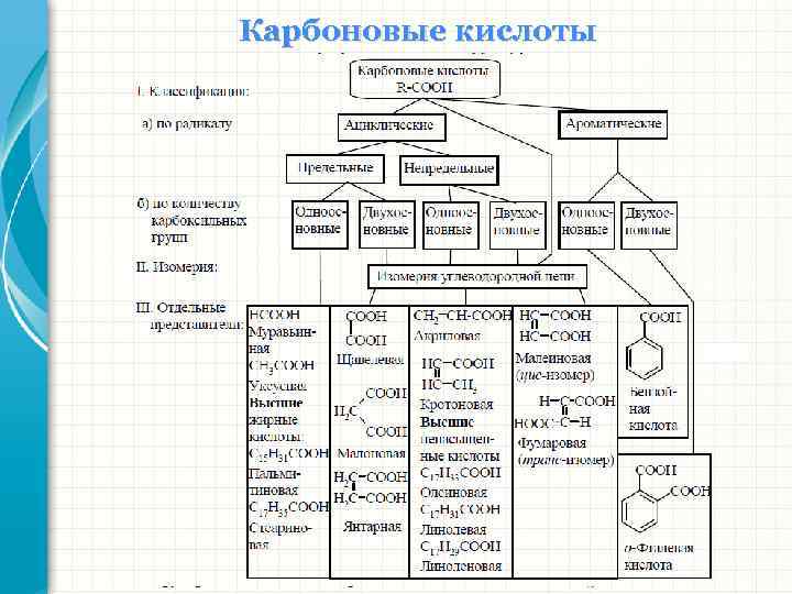 Карбоновые кислоты 