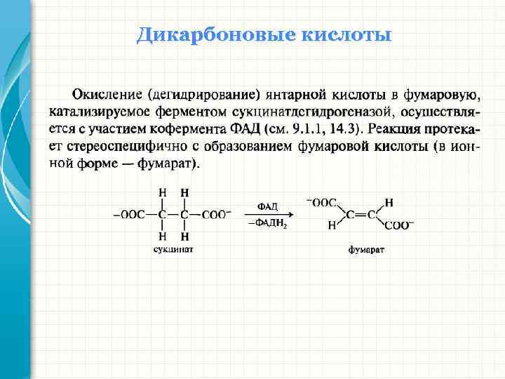 Дикарбоновые кислоты 
