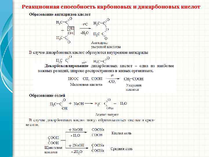 Реакционная способность карбоновых и дикарбоновых кислот 