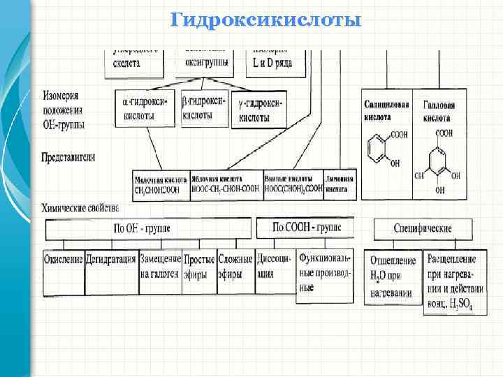 Гидроксикислоты 