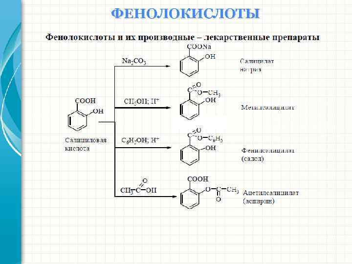 ФЕНОЛОКИСЛОТЫ 