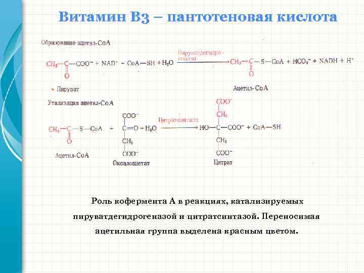 Пантотеновая кислота в детских кашах