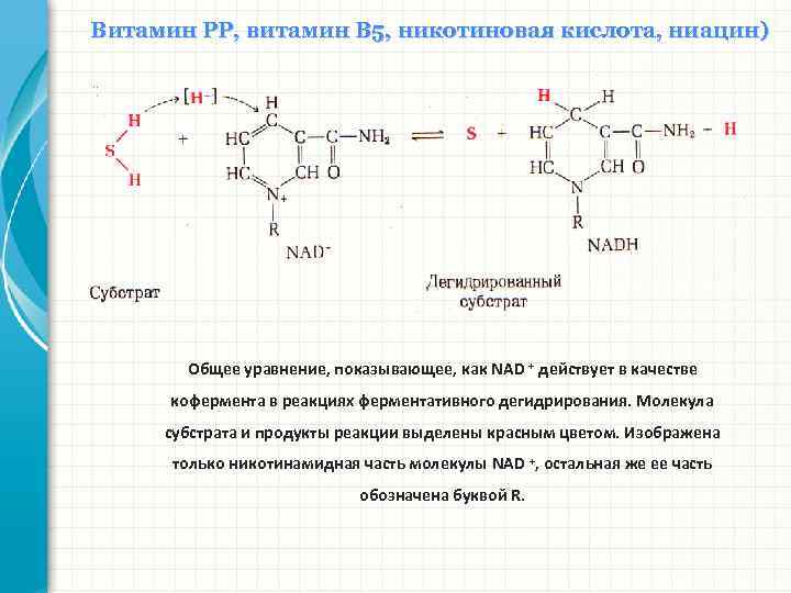 Никотиновая кислота по схеме