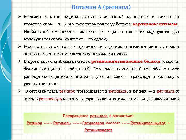 Витамин А (ретинол) Ø Витамин А может образовываться в слизистой кишечника и печени из