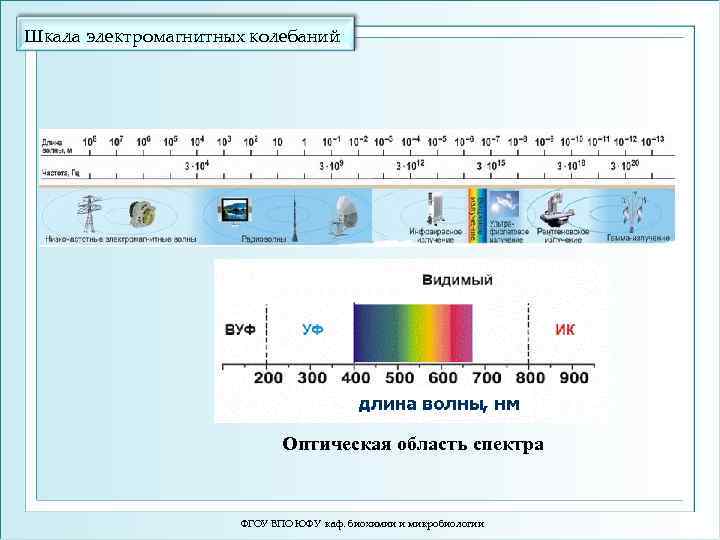 Шкала электромагнитных колебаний Оптическая область спектра ФГОУ ВПО ЮФУ каф. биохимии и микробиологии 