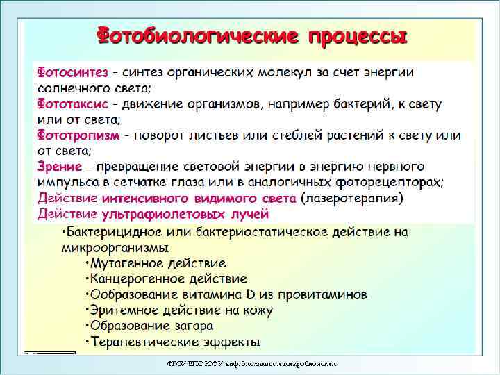 ФГОУ ВПО ЮФУ каф. биохимии и микробиологии 