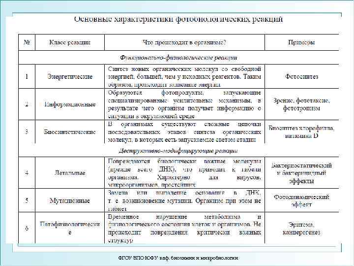 ФГОУ ВПО ЮФУ каф. биохимии и микробиологии 