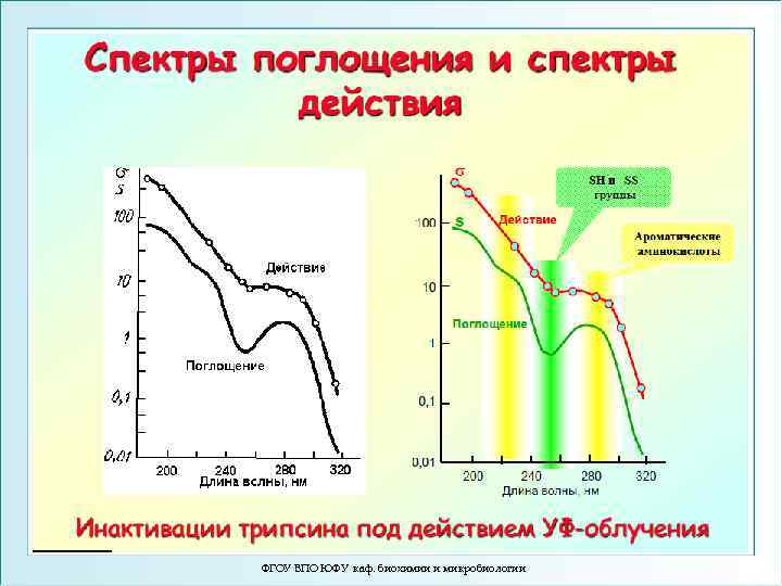 ФГОУ ВПО ЮФУ каф. биохимии и микробиологии 