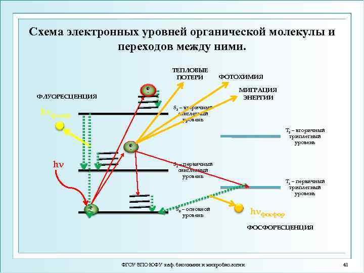 Схема электронных уровней органической молекулы и переходов между ними. ТЕПЛОВЫЕ ПОТЕРИ e МИГРАЦИЯ ЭНЕРГИИ