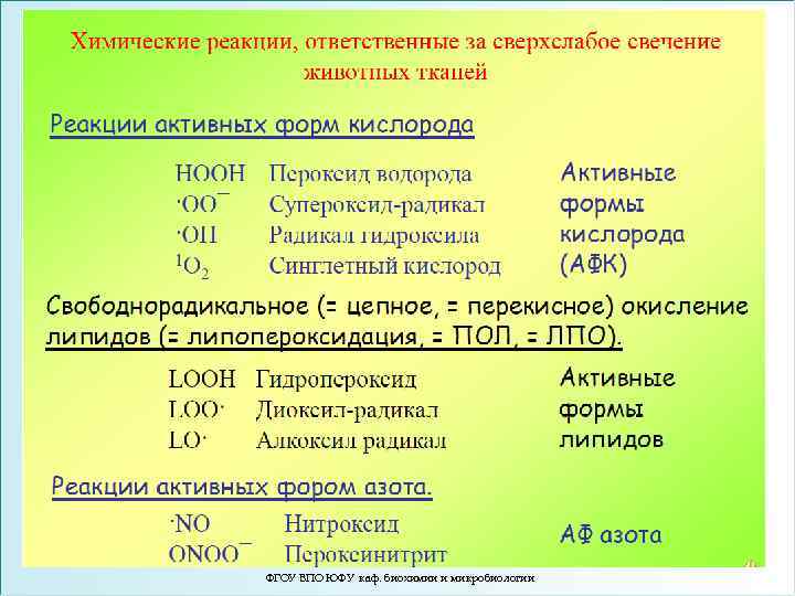 ФГОУ ВПО ЮФУ каф. биохимии и микробиологии 