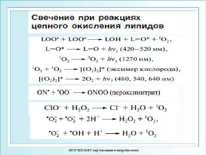 ФГОУ ВПО ЮФУ каф. биохимии и микробиологии 