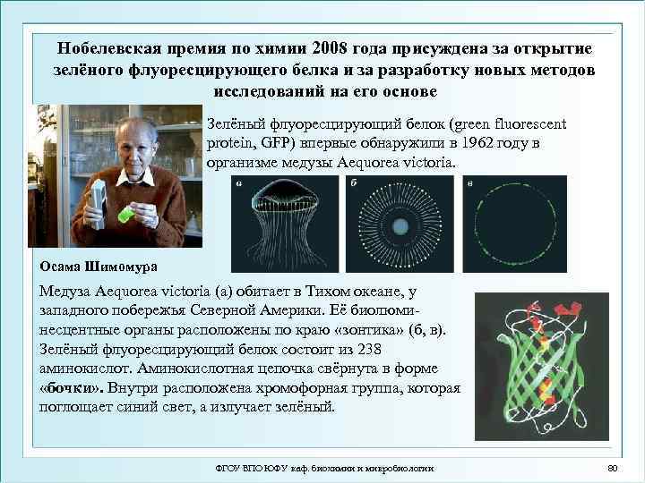 Нобелевская премия по химии 2008 года присуждена за открытие зелёного флуоресцирующего белка и за