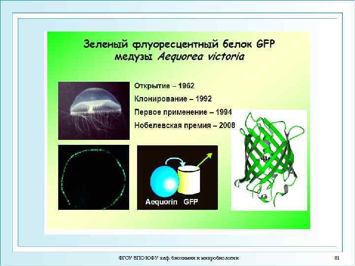 ФГОУ ВПО ЮФУ каф. биохимии и микробиологии 81 