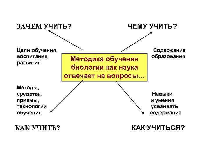 Зачем изучать литературу