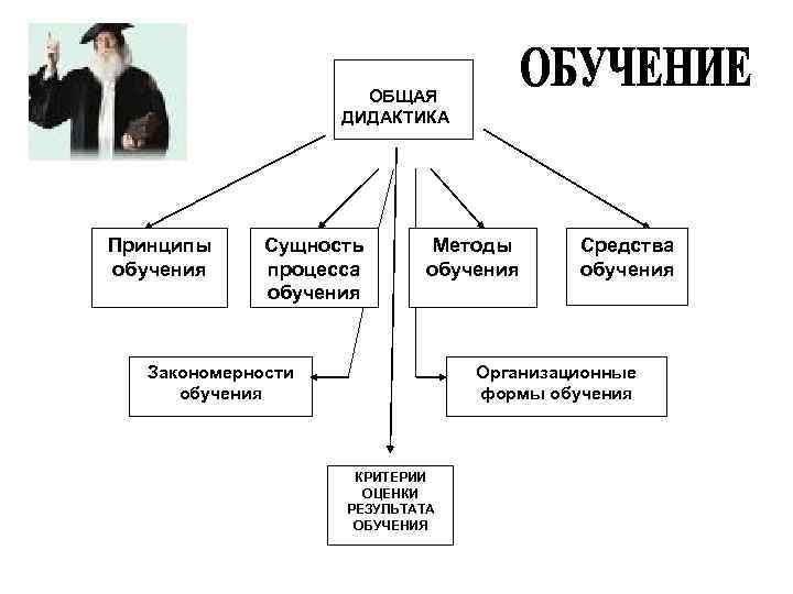 ОБЩАЯ ДИДАКТИКА Принципы обучения Сущность процесса обучения Методы обучения Закономерности обучения Средства обучения Организационные