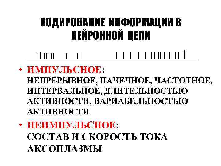 КОДИРОВАНИЕ ИНФОРМАЦИИ В НЕЙРОННОЙ ЦЕПИ • ИМПУЛЬСНОЕ: НЕПРЕРЫВНОЕ, ПАЧЕЧНОЕ, ЧАСТОТНОЕ, ИНТЕРВАЛЬНОЕ, ДЛИТЕЛЬНОСТЬЮ АКТИВНОСТИ, ВАРИАБЕЛЬНОСТЬЮ