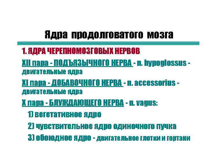 Ядра продолговатого мозга n n 1. ЯДРА ЧЕРЕПНОМОЗГОВЫХ НЕРВОВ XII пара - ПОДЪЯЗЫЧНОГО НЕРВА