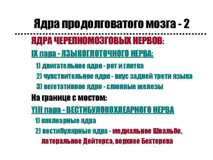 Ядра продолговатого мозга - 2 n ЯДРА ЧЕРЕПНОМОЗГОВЫХ НЕРВОВ: n IX пара - ЯЗЫКОГЛОТОЧНОГО