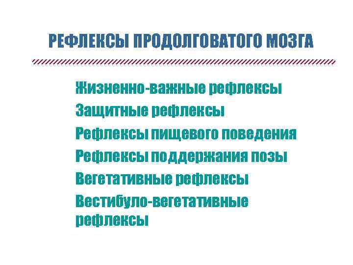 РЕФЛЕКСЫ ПРОДОЛГОВАТОГО МОЗГА n n n Жизненно-важные рефлексы Защитные рефлексы Рефлексы пищевого поведения Рефлексы