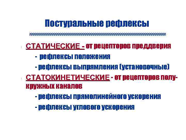 Постуральные рефлексы n n n СТАТИЧЕСКИЕ - от рецепторов преддверия - рефлексы положения -