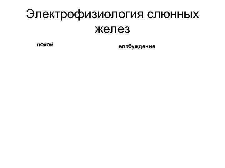 Электрофизиология слюнных желез покой возбуждение 