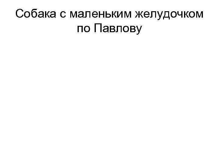 Собака с маленьким желудочком по Павлову 