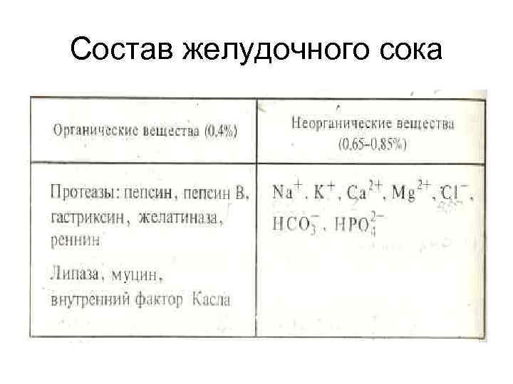 Состав желудочного сока 