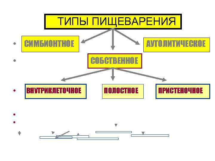 ТИПЫ ПИЩЕВАРЕНИЯ • СИМБИОНТНОЕ • • АУТОЛИТИЧЕСКОЕ СОБСТВЕННОЕ ВНУТРИКЛЕТОЧНОЕ ПОЛОСТНОЕ ПРИСТЕНОЧНОЕ 