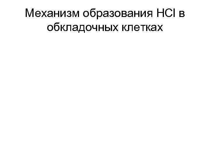 Механизм образования HCl в обкладочных клетках 
